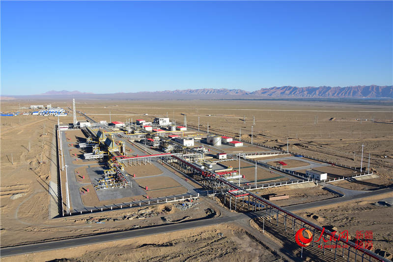 塔里木输油气分公司项目